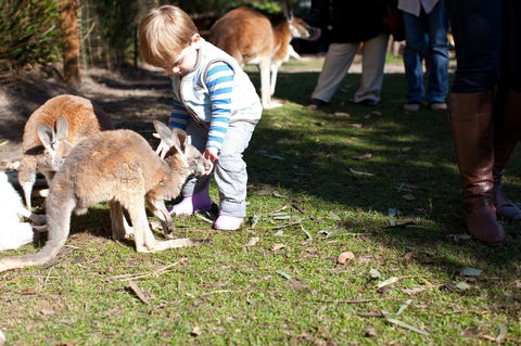 Animals And Family Fun - Accommodation Port Hedland 1