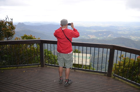 Best Of All Lookout Track, Springbrook National Park - Accommodation Port Hedland 0