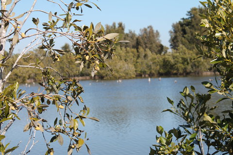 Boyters Lane Bird Hide - Accommodation Port Hedland 2