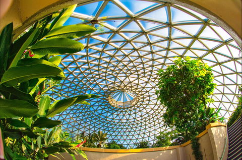 Brisbane Botanic Gardens Mount Coot-tha - Accommodation Port Hedland 0