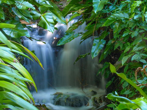 Brisbane Botanic Gardens Mount Coot-tha - Accommodation Port Hedland 1