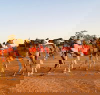 Broken Hill Camels - Accommodation Port Hedland