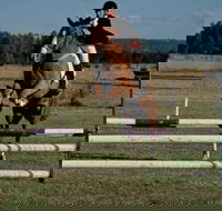 Camden Bicentennial Equestrian Park - Accommodation Port Hedland