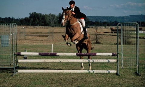 Camden Bicentennial Equestrian Park - Accommodation Port Hedland 0