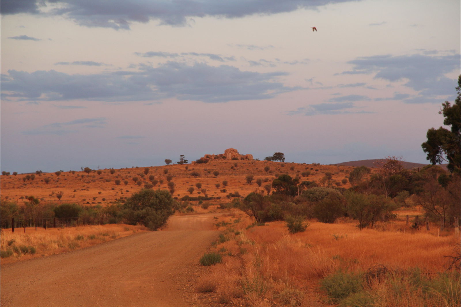 Olympic Dam SA Accommodation Port Hedland