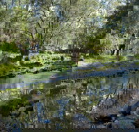 Condamine Gorge '14 River Crossing' - Accommodation Port Hedland