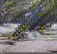 Coolah Tops National Park - Accommodation Port Hedland