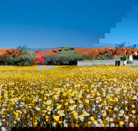 Coorow Farm Wildflower Trail - Accommodation Port Hedland