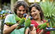 Currumbin Wildlife Sanctuary - thumb 0