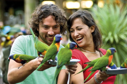 Currumbin Wildlife Sanctuary - Accommodation Port Hedland 0