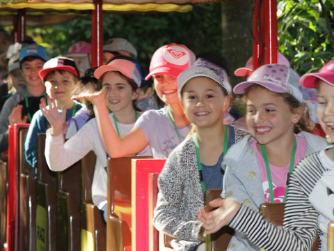 Currumbin Wildlife Sanctuary - Accommodation Port Hedland 1
