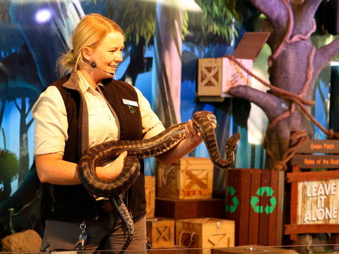 Currumbin Wildlife Sanctuary - Accommodation Port Hedland 2