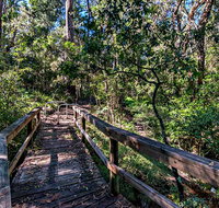 Dawson River Walking Track - Accommodation Port Hedland