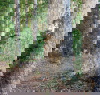 Delta Track - Accommodation Port Hedland