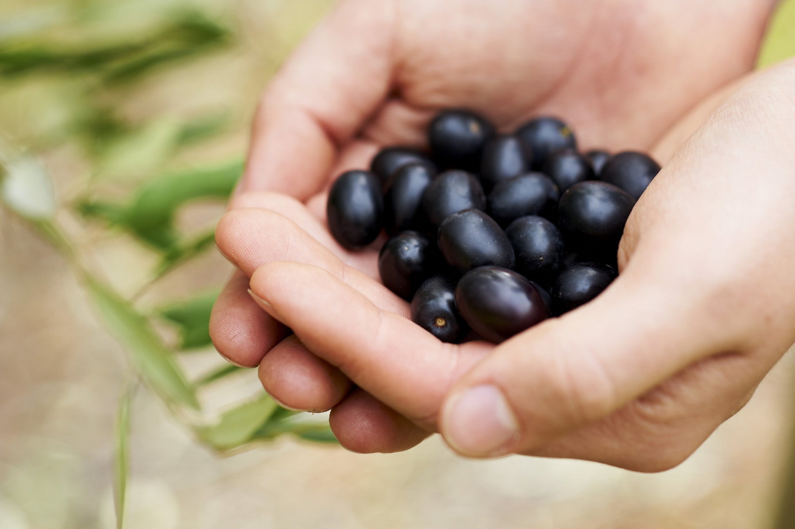 Lower Chittering WA Accommodation Port Hedland