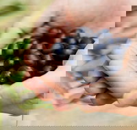 Eat Pick Grow Trail - Wanneroo and Chittering - Accommodation Port Hedland