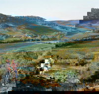 Farm Flavour Trail Chittering Valley - Accommodation Port Hedland