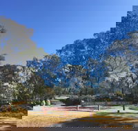 Grenfell Endemic Garden - Accommodation Port Hedland