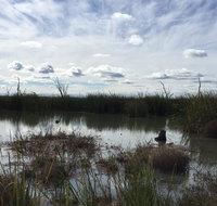 Gwydir Wetlands Moree - Accommodation Port Hedland