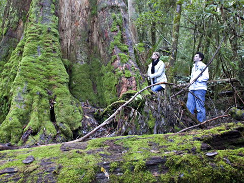 Hastings Caves And Thermal Springs - Accommodation Port Hedland 2