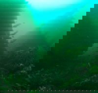 Investigator Strait Shipwreck Trail - Accommodation Port Hedland