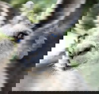 John Egan Pioneer Track - Accommodation Port Hedland