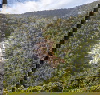 Kearneys Falls - Accommodation Port Hedland