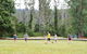 Kerewong State Forest - thumb 1