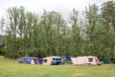 Kerewong State Forest - Accommodation Port Hedland 2