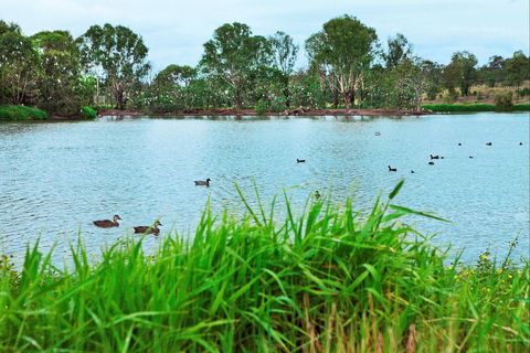 Lake Apex Park - Accommodation Port Hedland 1