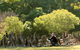 Lone Pine Koala Sanctuary - thumb 0