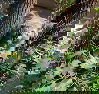 Macadamia Castle - Accommodation Port Hedland