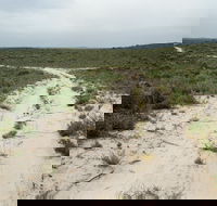 Ngarkat Conservation Park - Accommodation Port Hedland