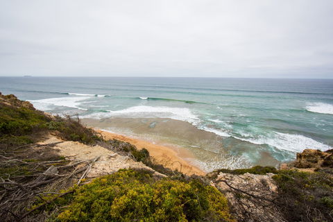 Ocean Grove Main Beach - Accommodation Port Hedland 1