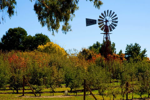 Orange Botanic Gardens - Accommodation Port Hedland 2