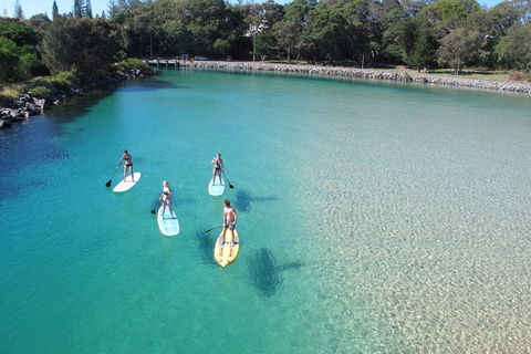 Paddleboard At Back Creek South West Rocks - Accommodation Port Hedland 0