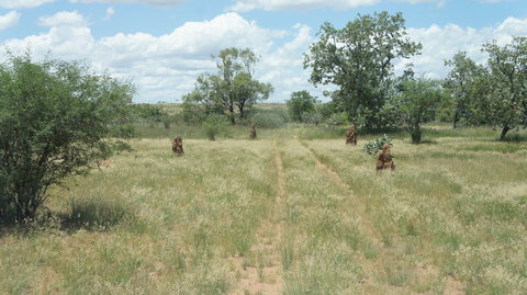 Powell Creek Telegraph Station - Accommodation Port Hedland 2