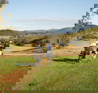Tamworth and Kootingal Horse Riding Adventures - Accommodation Port Hedland