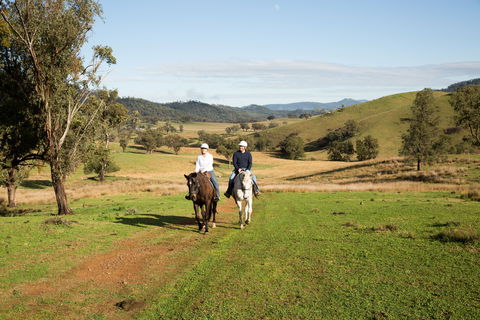 Tamworth And Kootingal Horse Riding Adventures - Accommodation Port Hedland 0