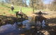 Tamworth And Kootingal Horse Riding Adventures - thumb 2