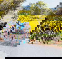 The Heron's Highway - Avon River Cycle Trail - Accommodation Port Hedland