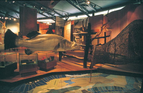 Warradjan Cultural Centre - Accommodation Port Hedland 0