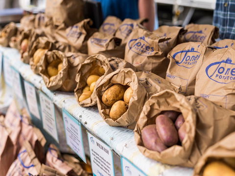 Warragul Farmers Market - Accommodation Port Hedland 2