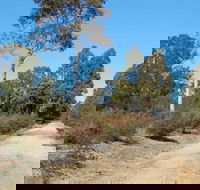 Werakata National Park - Accommodation Port Hedland