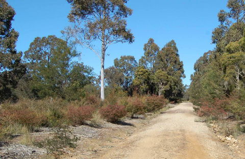 Werakata National Park - Accommodation Port Hedland 0