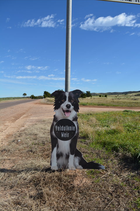 Yeldulknie Weir & Reservoir - Accommodation Port Hedland 0