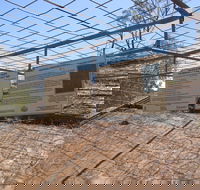 Aboriginal Carvings - Accommodation Port Hedland