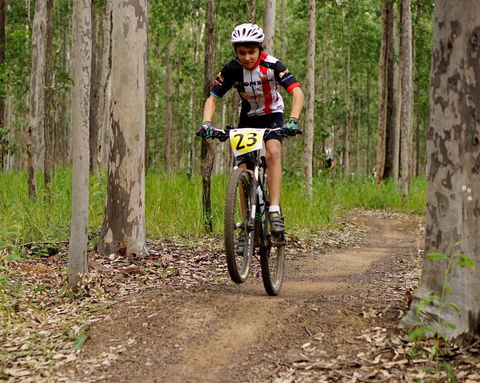 Bom Bom State Forest Mountain Bike Trails - Accommodation Port Hedland 1