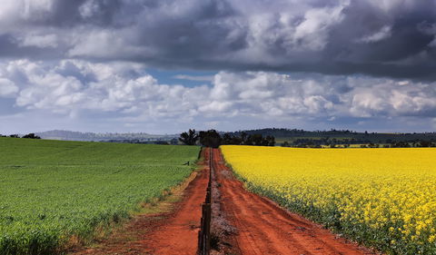 Canola Trail - Accommodation Port Hedland 1