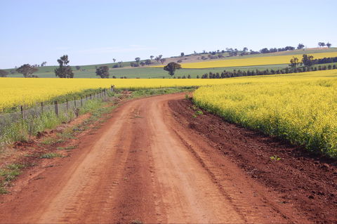 Canola Trail - Accommodation Port Hedland 2